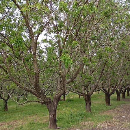 Casas Rurales Cortijo La Canada Estepa Eksteriør bilde