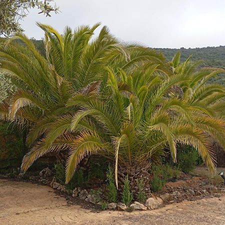 Casas Rurales Cortijo La Canada Estepa Eksteriør bilde