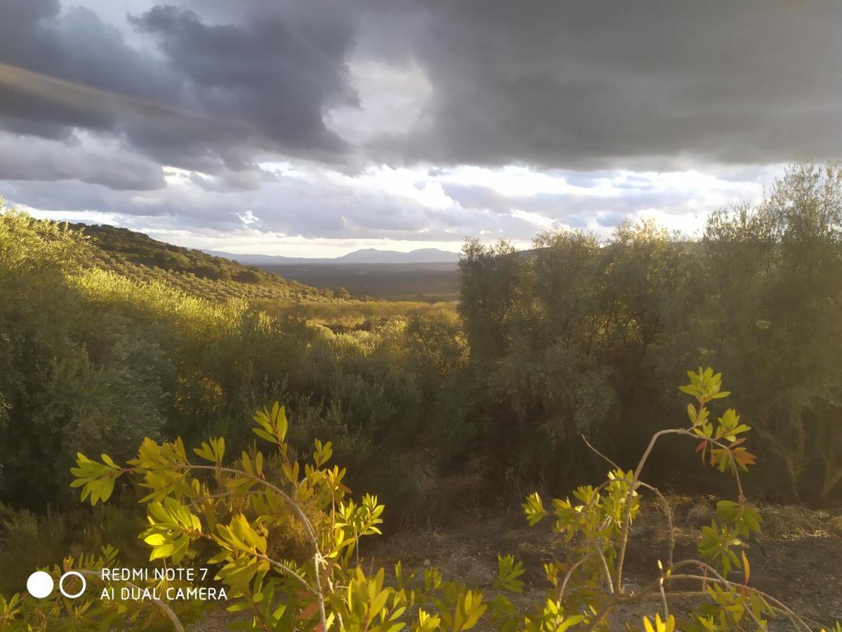 Casas Rurales Cortijo La Canada Estepa Eksteriør bilde