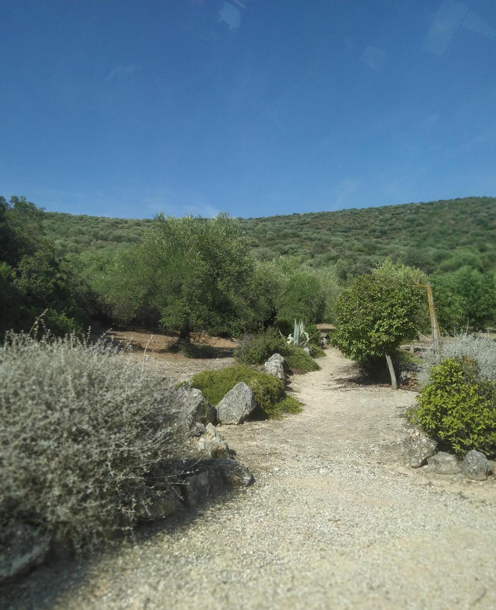 Casas Rurales Cortijo La Canada Estepa Rom bilde
