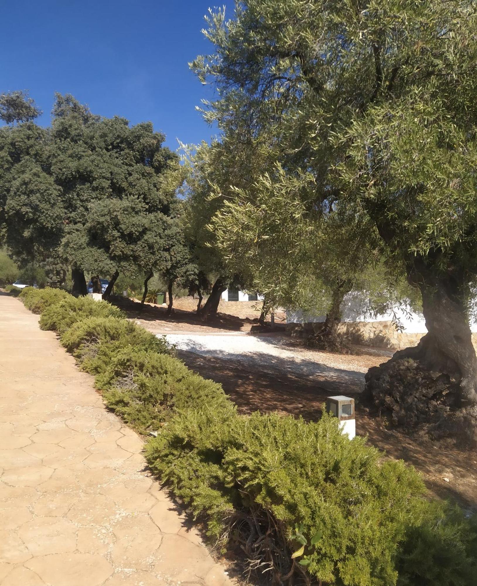 Casas Rurales Cortijo La Canada Estepa Rom bilde