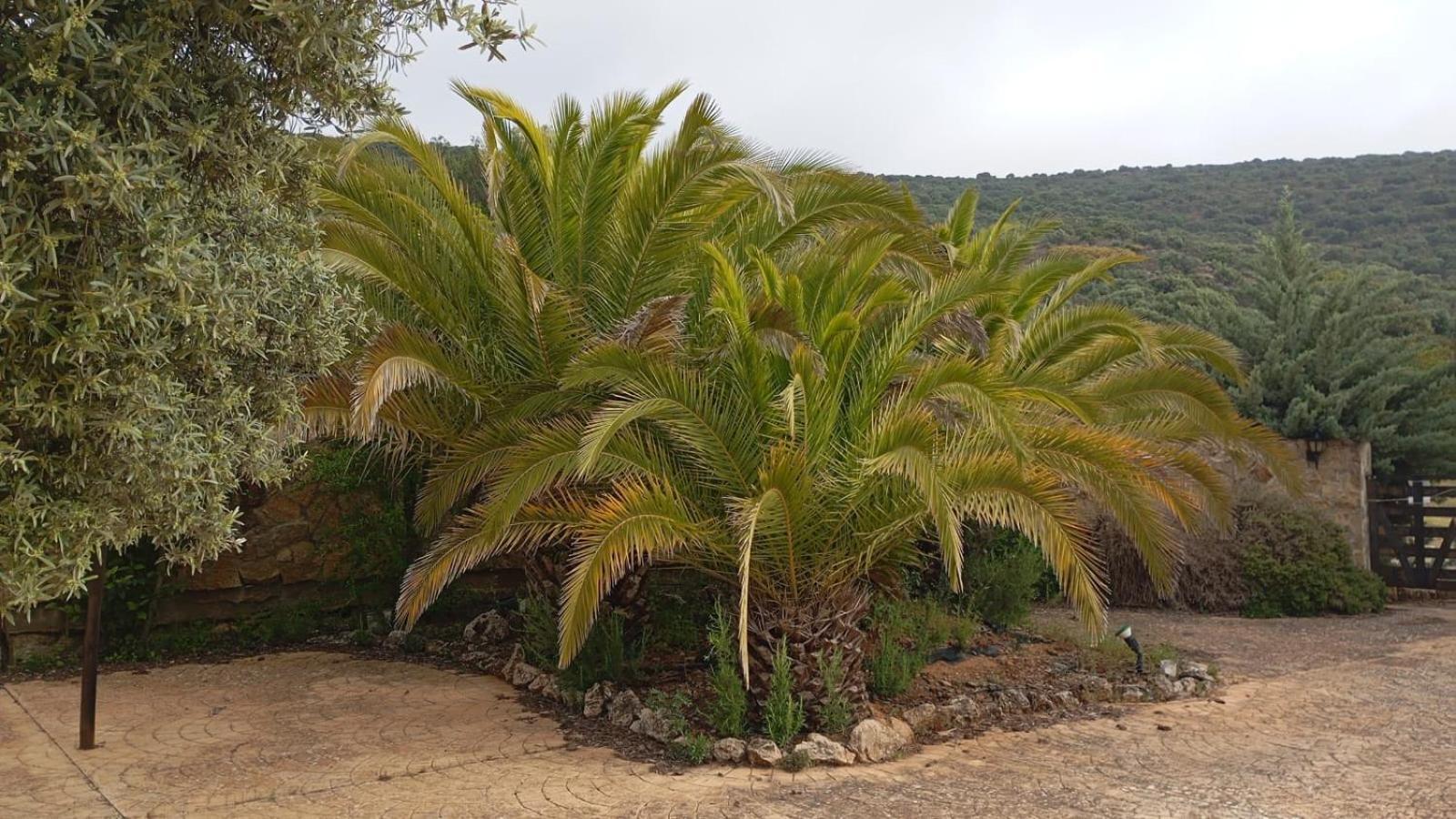 Casas Rurales Cortijo La Canada Estepa Eksteriør bilde