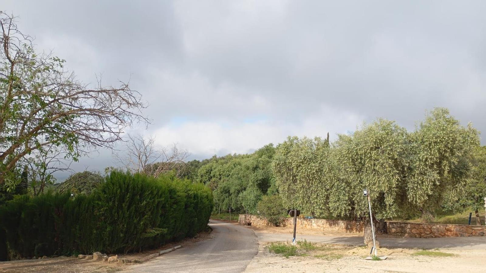 Casas Rurales Cortijo La Canada Estepa Eksteriør bilde