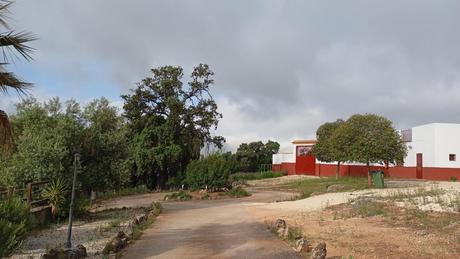 Casas Rurales Cortijo La Canada Estepa Eksteriør bilde