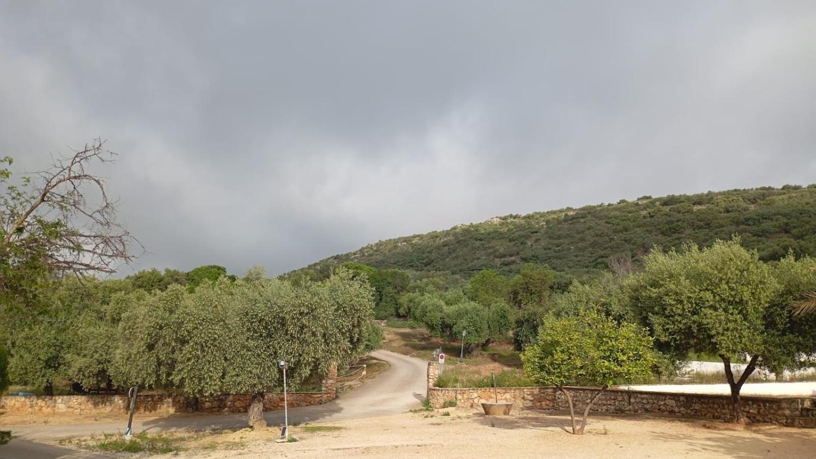 Casas Rurales Cortijo La Canada Estepa Eksteriør bilde