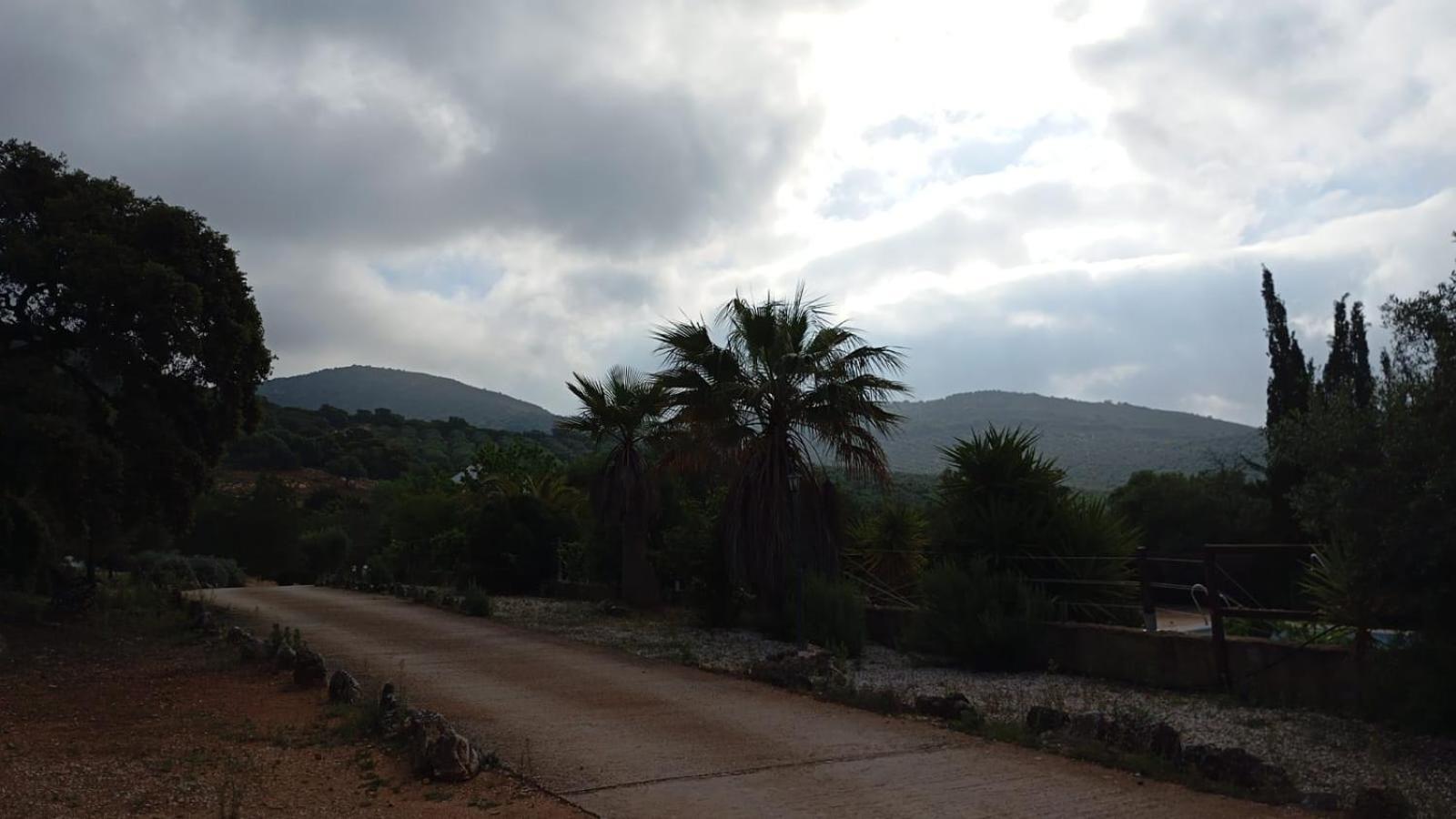 Casas Rurales Cortijo La Canada Estepa Eksteriør bilde