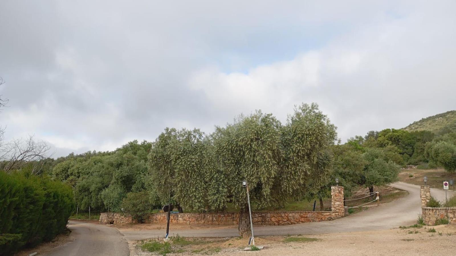 Casas Rurales Cortijo La Canada Estepa Eksteriør bilde