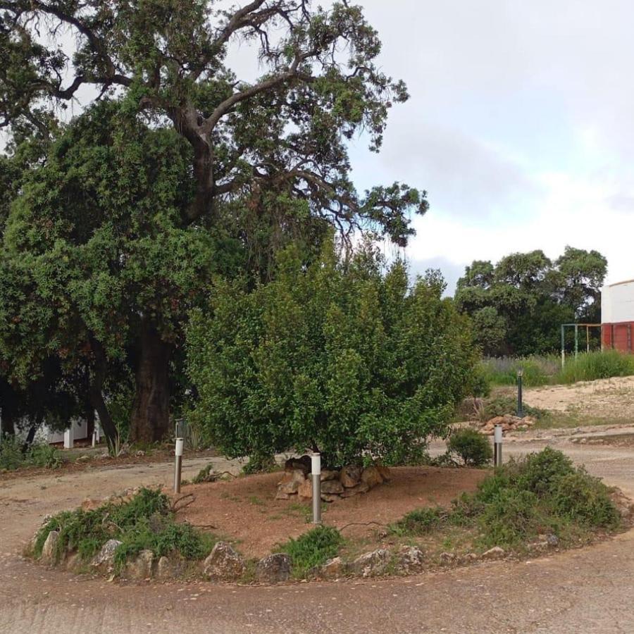 Casas Rurales Cortijo La Canada Estepa Eksteriør bilde