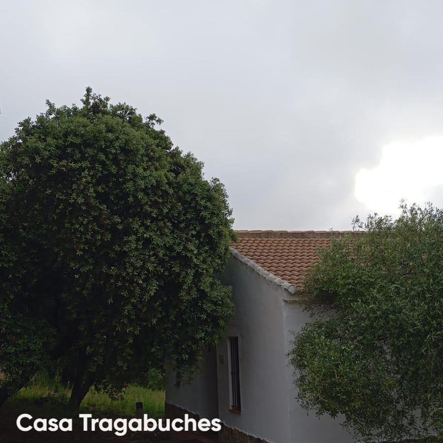 Casas Rurales Cortijo La Canada Estepa Eksteriør bilde