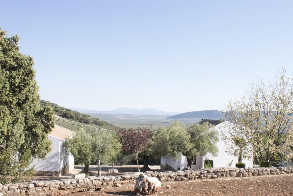 Casas Rurales Cortijo La Canada Estepa Eksteriør bilde