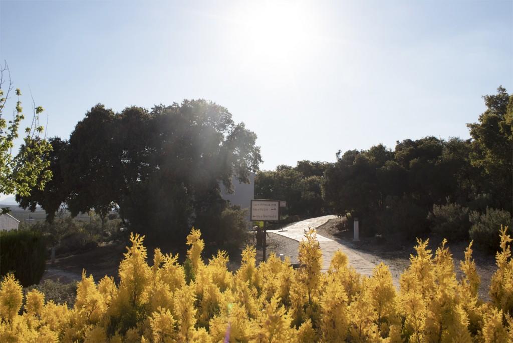 Casas Rurales Cortijo La Canada Estepa Eksteriør bilde